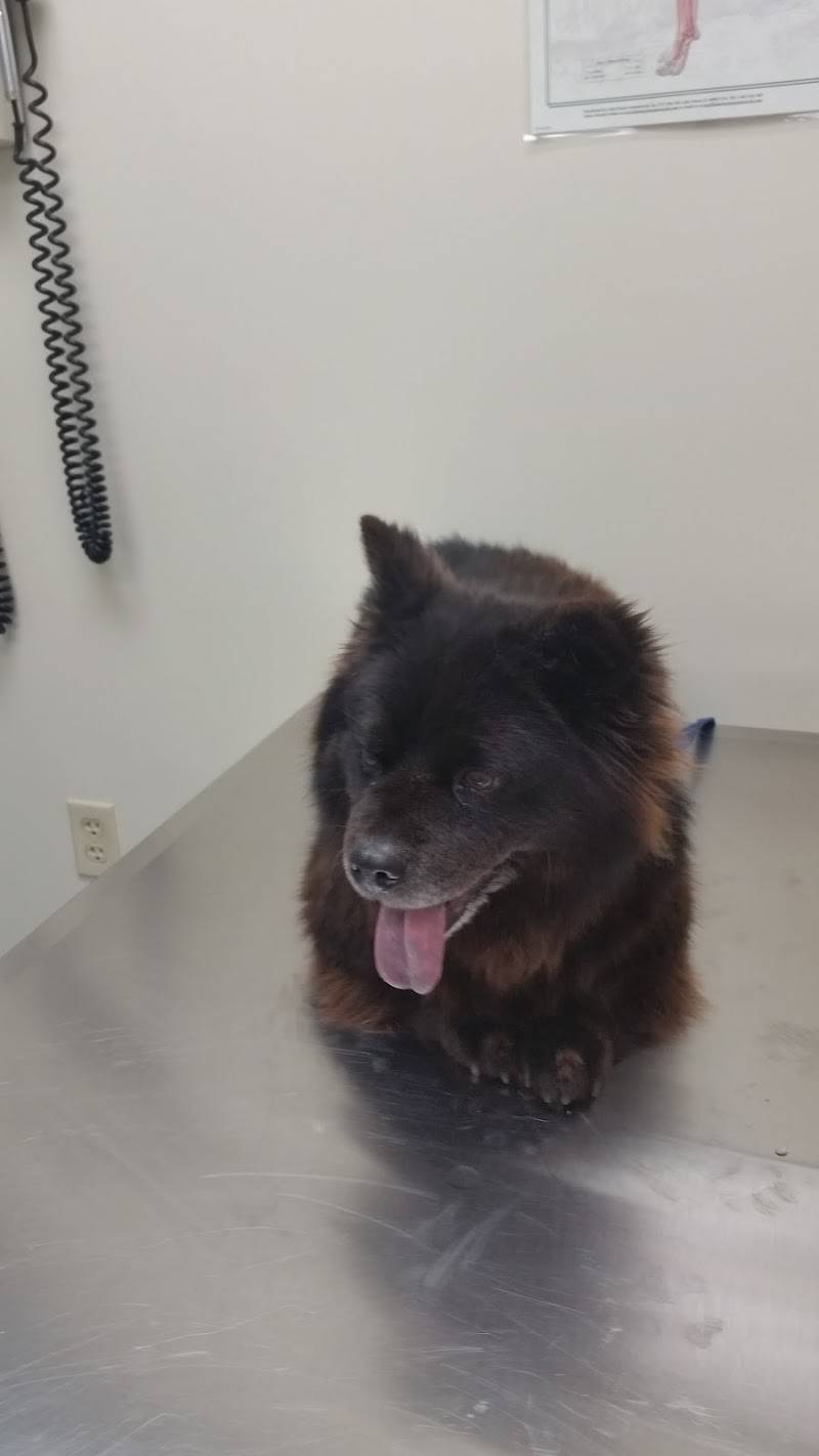 The Pet Clinic of Martinsville